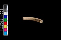 藏品(陶環)的圖片