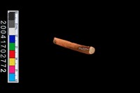 藏品(陶環)的圖片