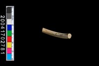 藏品(陶環)的圖片