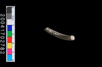 藏品(陶環)的圖片