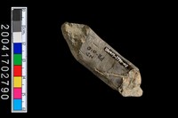 藏品(陶環)的圖片