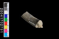 藏品(陶環-帶紋)的圖片