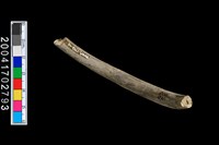 藏品(陶環)的圖片