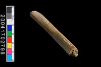 藏品(陶環)的圖片