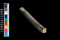 藏品(陶環)的圖片