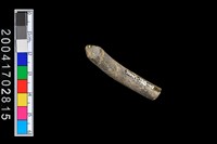 藏品(陶環)的圖片