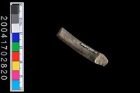 藏品(陶環)的圖片