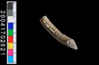 藏品(陶環)的圖片