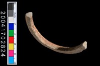 藏品(陶環)的圖片