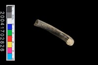 藏品(陶環)的圖片