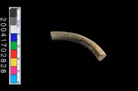 藏品(陶環)的圖片