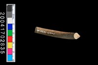 藏品(陶環)的圖片