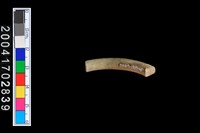 藏品(陶環)的圖片