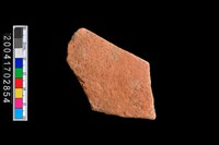 藏品(腹片-素面)的圖片