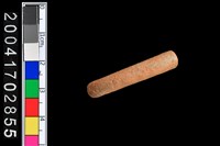 藏品(陶環)的圖片