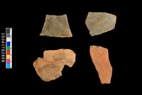 藏品(腹片-素面)的圖片