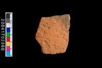 藏品(腹片-素面)的圖片