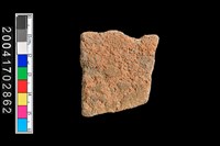 藏品(腹片-素面)的圖片