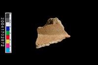 藏品(頸折-帶紋)的圖片