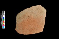 藏品(腹片-素面)的圖片