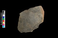 藏品(腹片-素面)的圖片