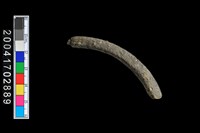 藏品(陶環)的圖片