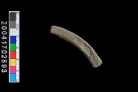 藏品(陶環)的圖片