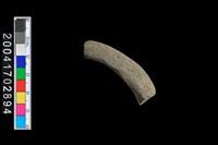 藏品(陶環)的圖片