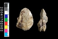 藏品(牡蠣)的圖片