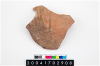 藏品(腹片)的圖片