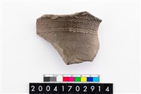 藏品(頸折)的圖片