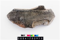 藏品(頸折)的圖片