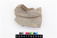 藏品(頸折)的圖片