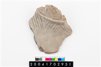 藏品(頸折)的圖片