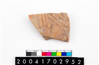 藏品(腹片)的圖片