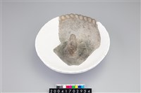 藏品(陶蓋)的圖片