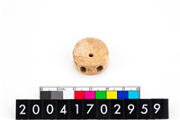 藏品(魚骨珠)的圖片