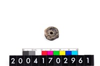 藏品(魚骨珠)的圖片