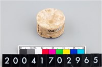 藏品(魚脊椎骨)的圖片