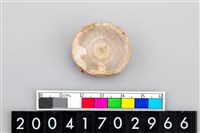 藏品(魚脊椎骨)的圖片