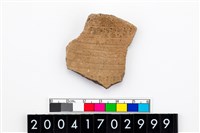 藏品(頸折)的圖片