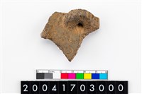 藏品(頸折)的圖片