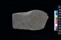 藏品(磨製石斧)的圖片