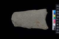 藏品(磨製石斧)的圖片