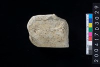 藏品(石錛)的圖片