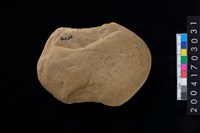 藏品(石網墜)的圖片