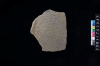 藏品(繩紋腹片)的圖片