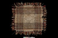 藏品(金錢傘)的圖片