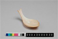 藏品(貝匙)的圖片