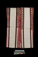 藏品(男子無袖長衣)的圖片